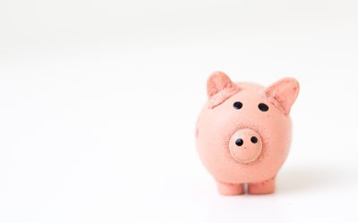 Household Payments and Universal Credit: System Error